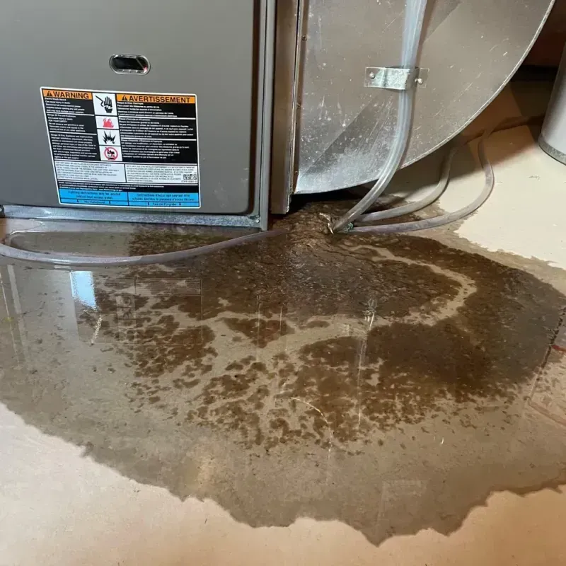 Appliance Leak Cleanup in Clara City, MN